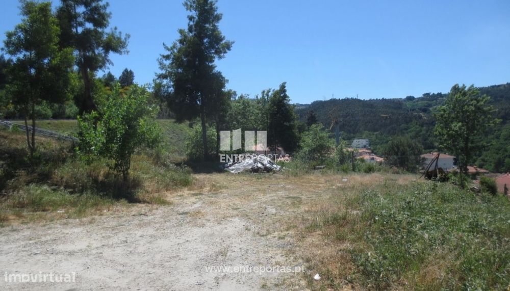 Land for Sale, Soalhães, Marco de Canaveses