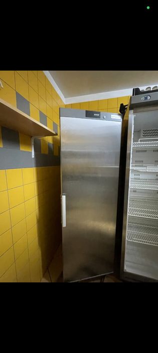Arca vertical ggmgastro