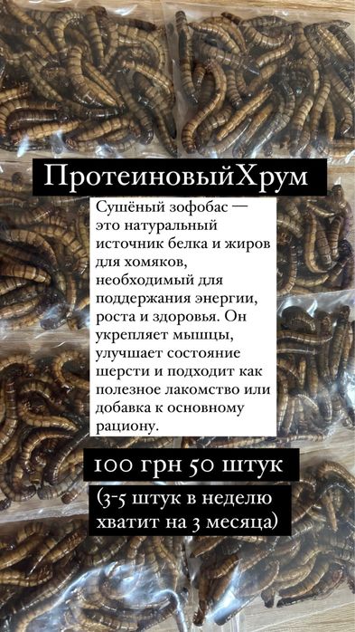 Корм для грызунов, лакомства, погрызушки