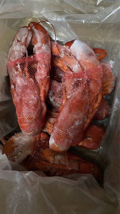 Лобстер варено-морожений