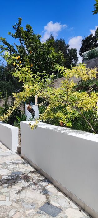 Quartos para arrendar Odivelas