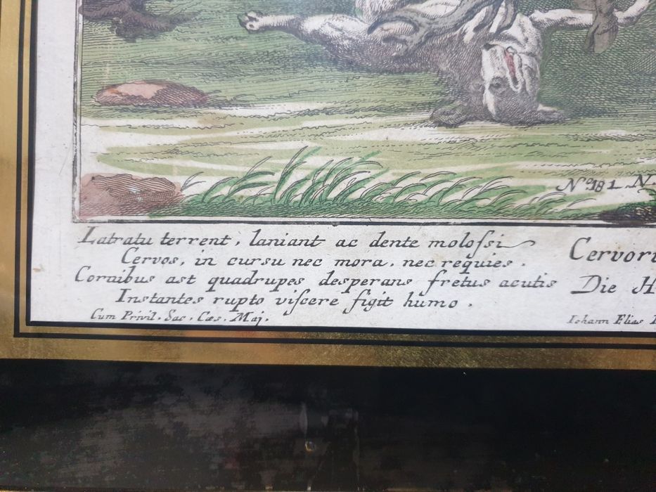 Antiga serigrafia com motivo de caça emoldurada