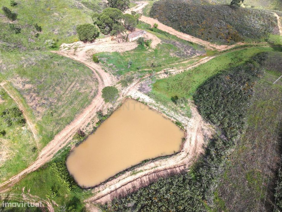 Ruína de 81m2 + Terreno de 3,7ha | Perto de Praia do Carvalhal