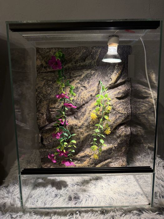 Terrarium 40x30x20