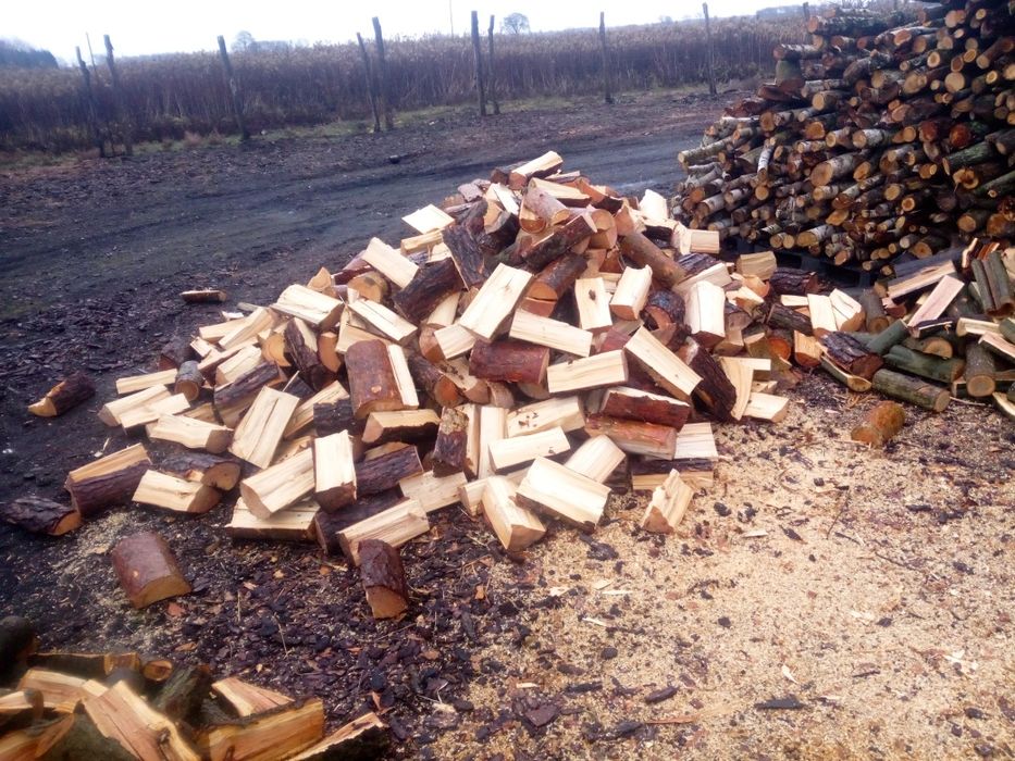 Drewno kominkowe i opałowe