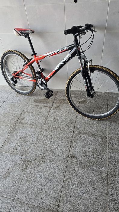 Bicicleta roda 24