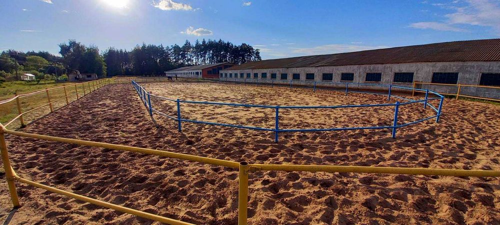 Постій коней та оренда денників у КСК «Юкон» (Харків)