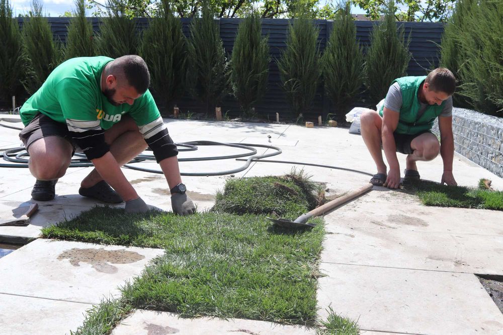 Зняття дерну, оренда дернорізу