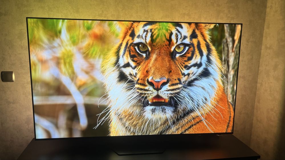 Philips OLED 819/12 65”