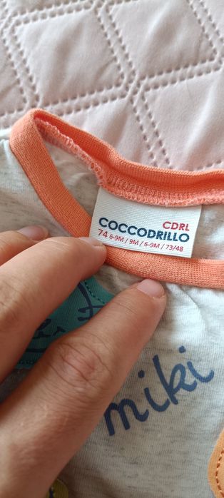 Komplet dresowy body + spodenki dla chłopca Cocodrillo rozm. 74