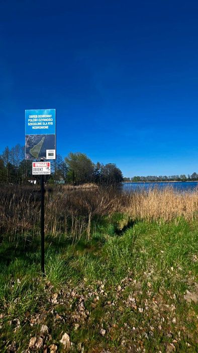 UNIKAT:  Działka nad jeziorem z bezposrednią linią brzegową  - wydana decyzja WZ _ Obra Wolsztyn - Widok 3