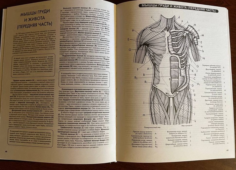 Атлас анатомии человека 

Эдуард Алкамо

Прекрасный атлас, в котором п