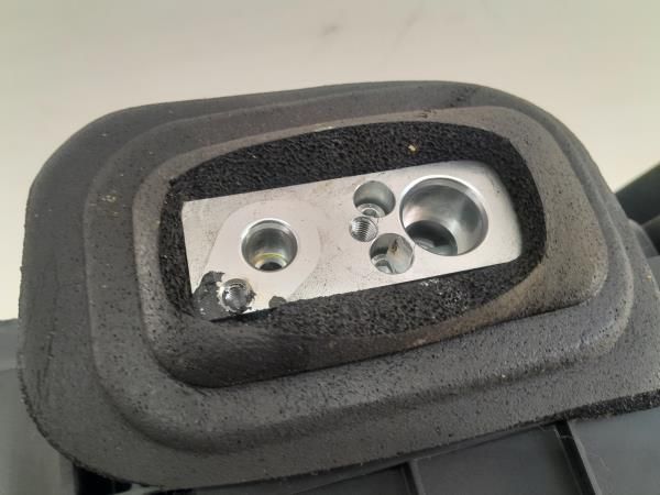 Chauffage / sofagem completa RENAULT Clio III (BR0/1, CR0/1)