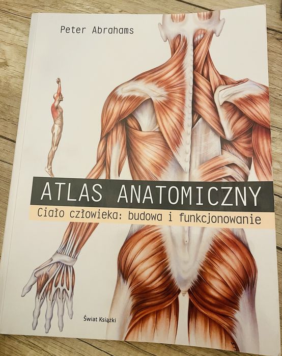Atlas anatomiczny
