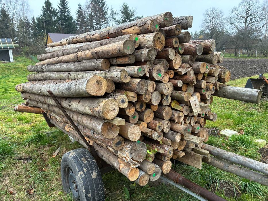 Stemple budowlane drewniane - grube