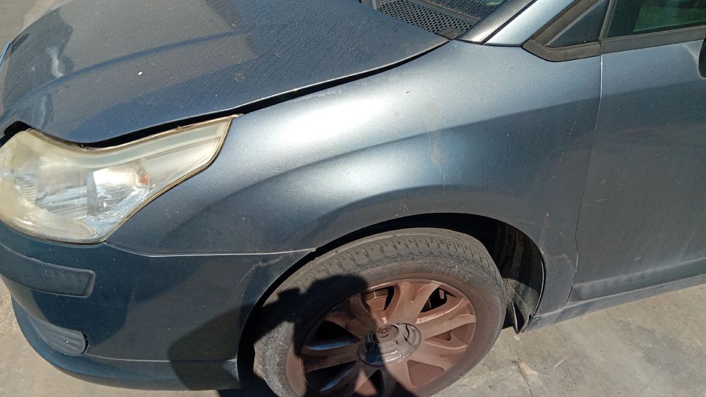 Guarda-lamas esquerdo CITROËN C4 I (LC_)