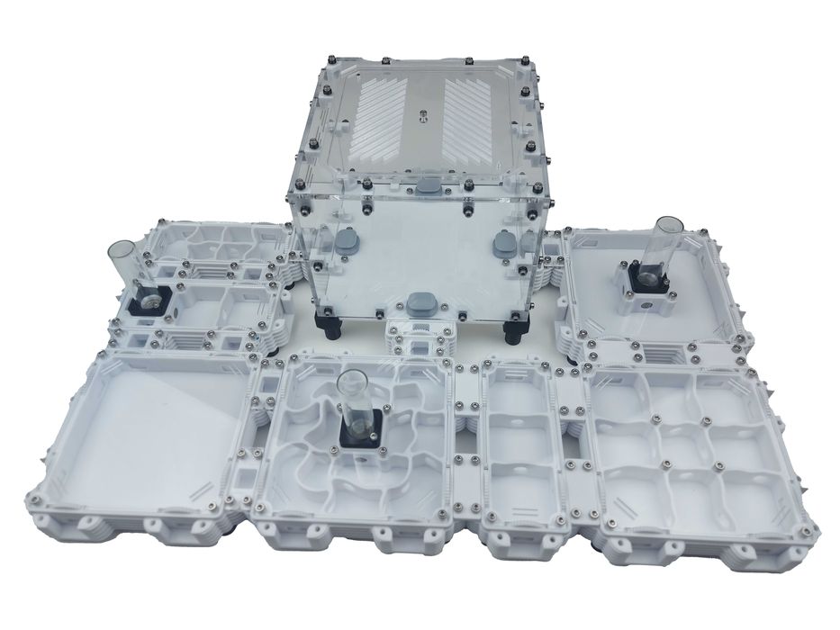 Модульний формікарій, мурашина ферма