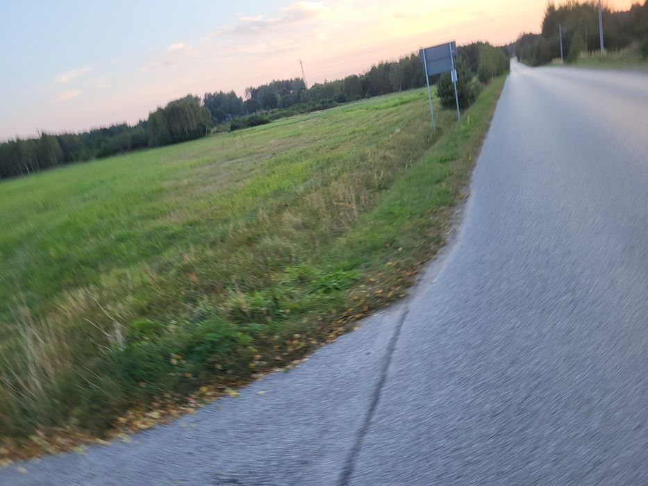 Wyjątkowa działka rolno-budowlana w Miedzierzy – 3 km od Sielpi! - Widok 4