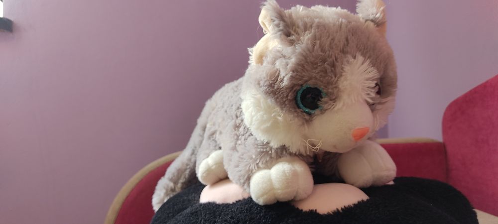 Kot pluszowy, gruby ogon