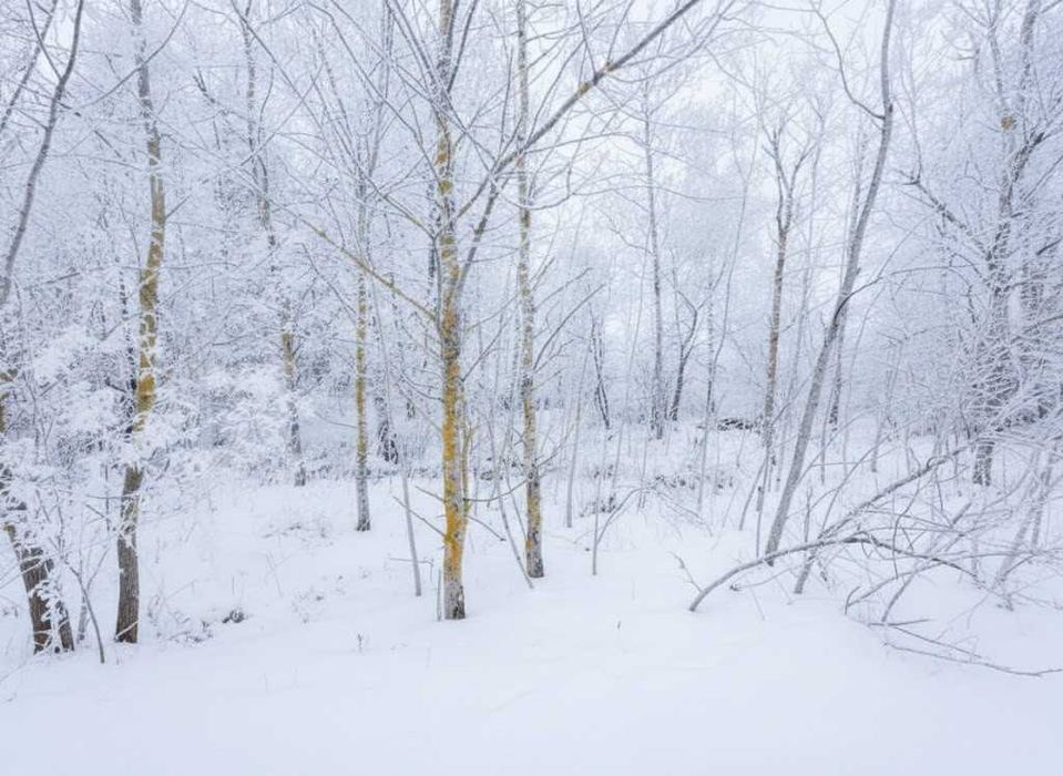 Продаж ділянки 25сот під забудову. Поряд озеро. Біля лісосмуги. ID:405