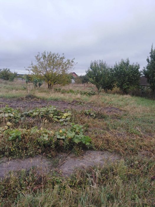 Продам будинок з великою ділянкою в с. Пилиповичі