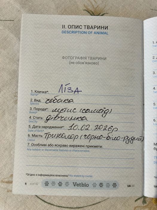 Віддам цуценят в добрі руки!