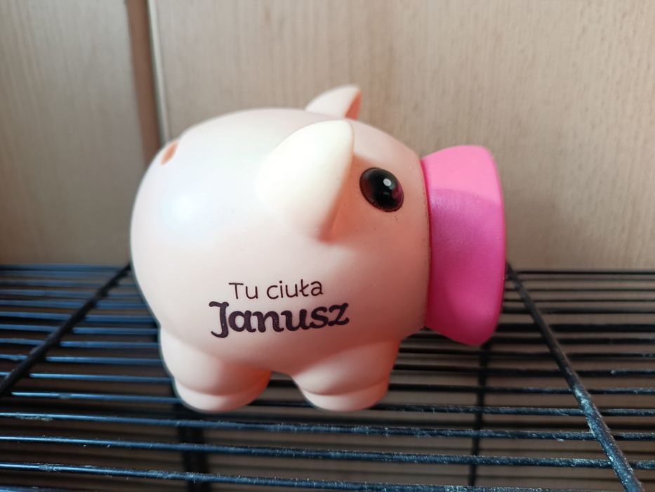 Skarbonka świnka świnka Tu ciuła Janusz
