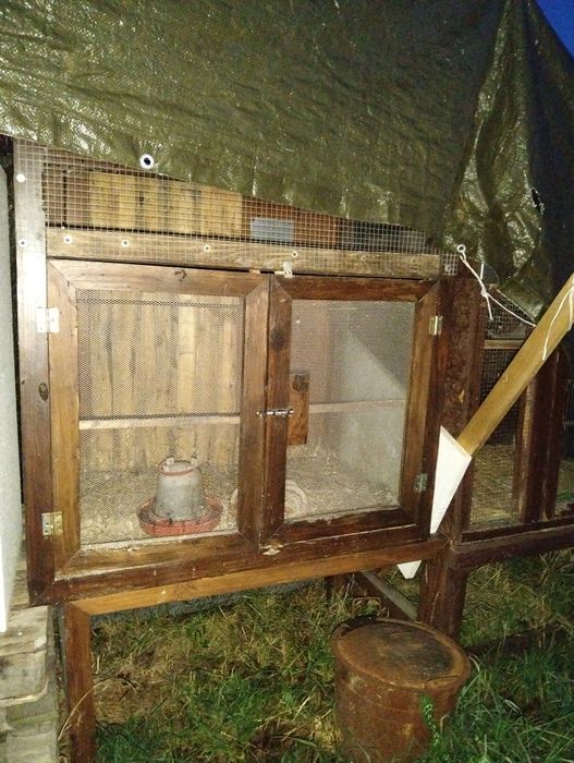 Klatki woliery dla papug gdrobiu przepiórek królików kur kurczakow