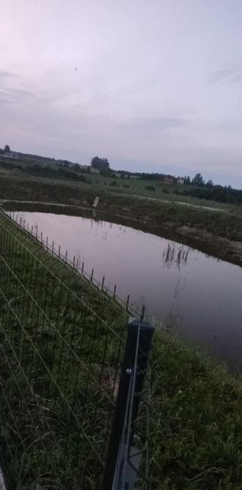 Domek  4-osobowy z jacuzzi ..