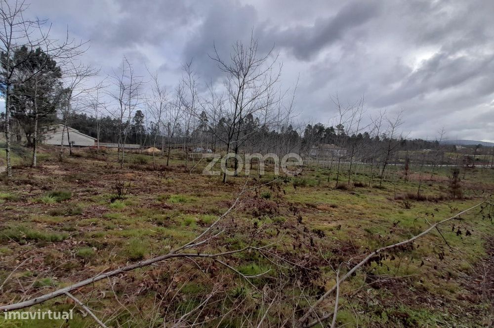 Terreno para construção com 5400m2