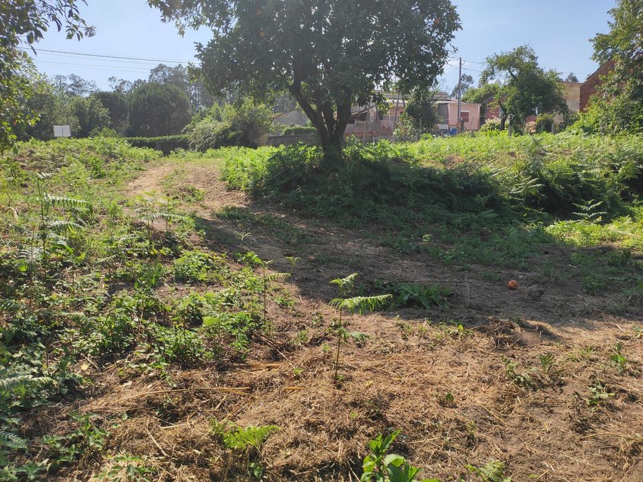 Terreno Urbano 3.400 m² a 20 minutos de Aveiro
