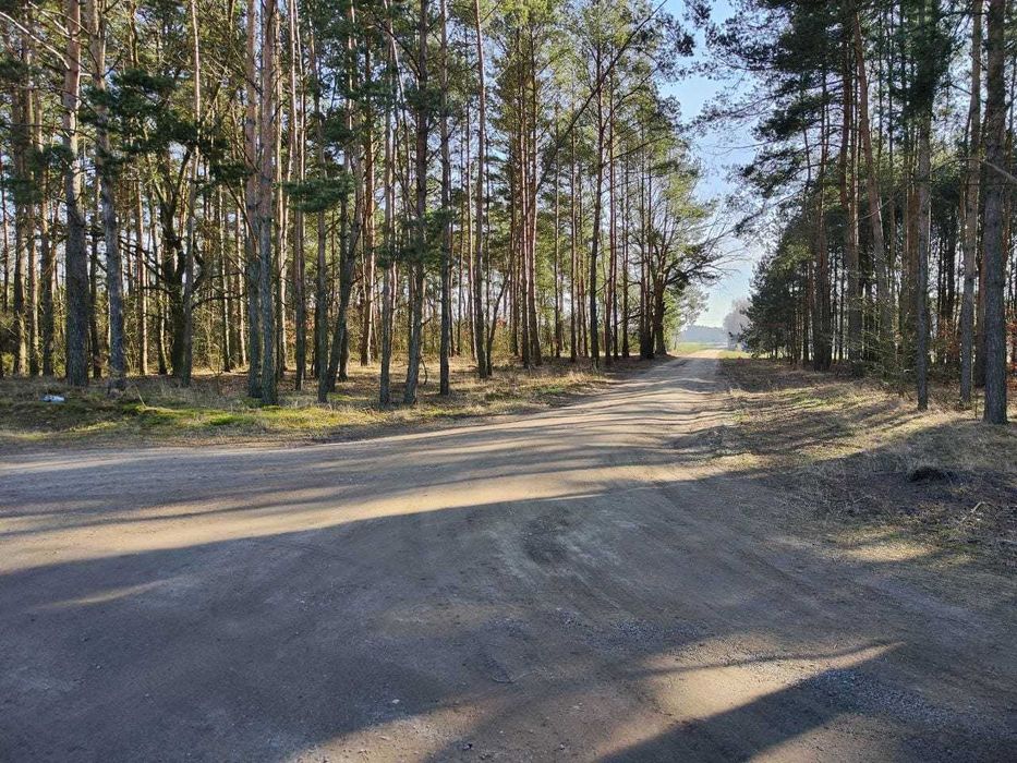 Sprzedam dzialke budowlaną  Kalisz-Ceków-Stare Prazuchy