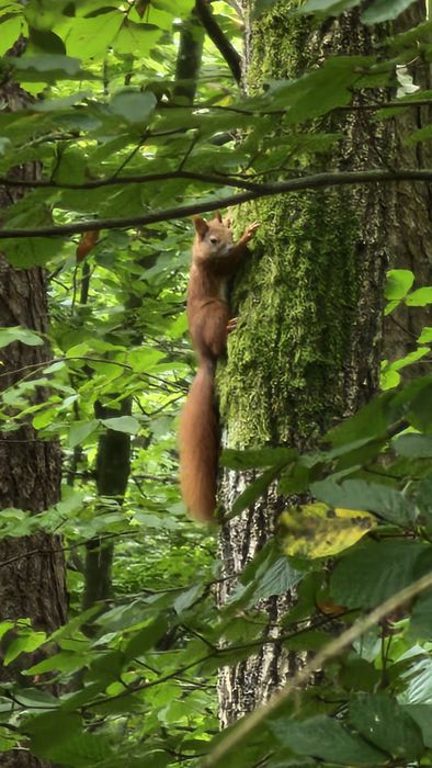 Nowy domek Roztocze/Krasnobród WOLNE TERMINY