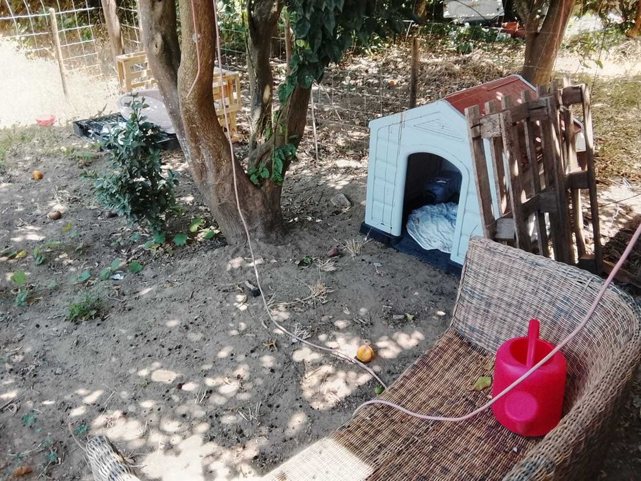 T0 e T1 junto ao Rio Tejo / Peaceful studio  & AC  with terrace and T1 near Santarém and next to Tejo