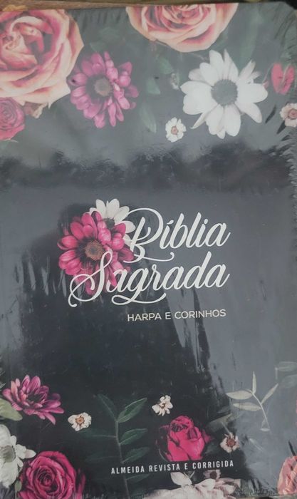 Biblias com Harpa e corinho