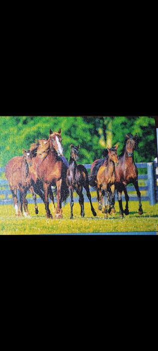 Puzzle Trefl 2*1000
