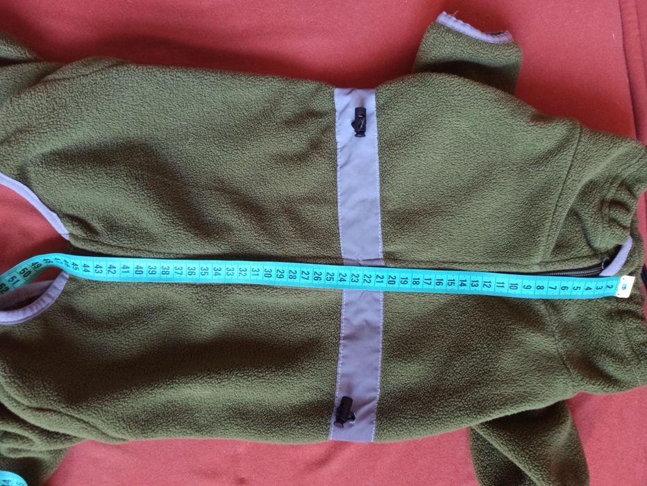 Комбінезон для французького бульдога