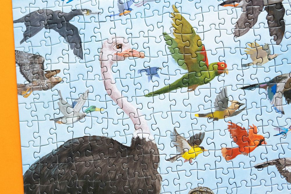 Puzzle Peter Pauper Press All the Birds 1000 el kompletne