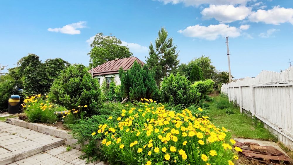 ПРОДАМ будинок у центрі с.Миколаївка, Самарівський район.