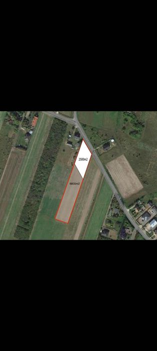 Działka rolno-budowlana 6800 m² – Jedlanka | Warunki zabudowy | Blisko S7 - Widok 3