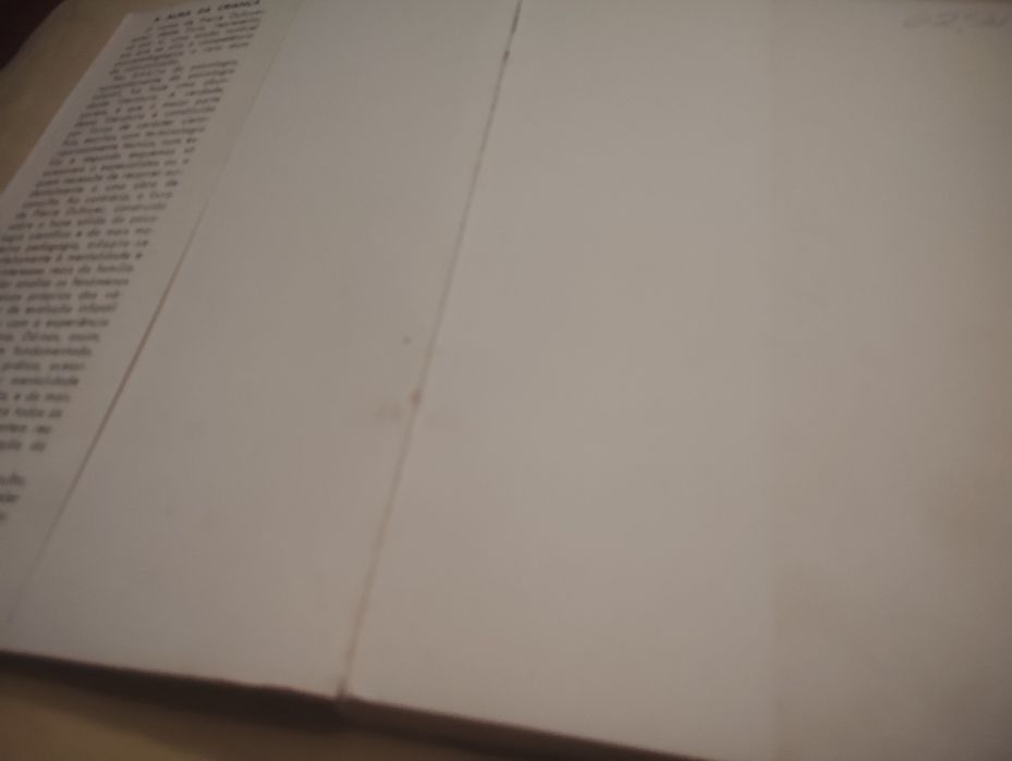 Livro A Alma da Criança Vintage