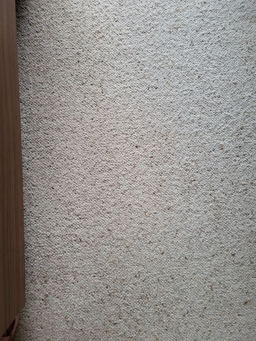 Wykładzina dywanowa 260/395