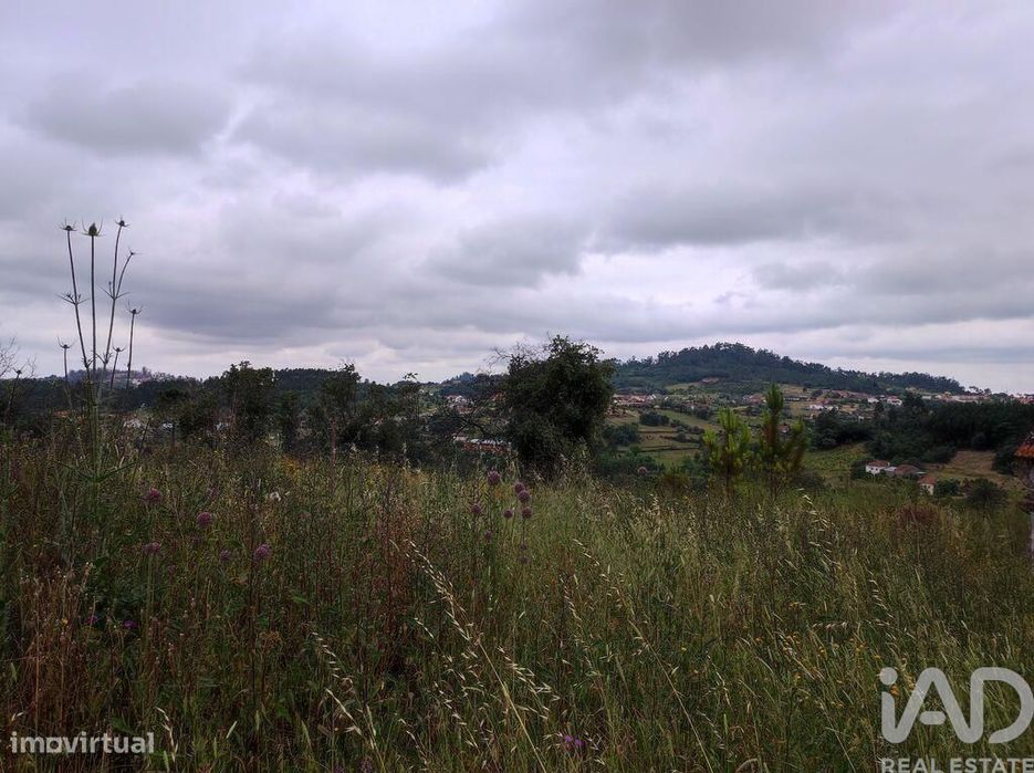 Terreno para construção em Colmeias e Memória de 116,00 m2