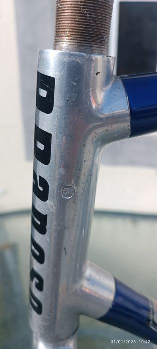 Quadro vitus  tamanho 58