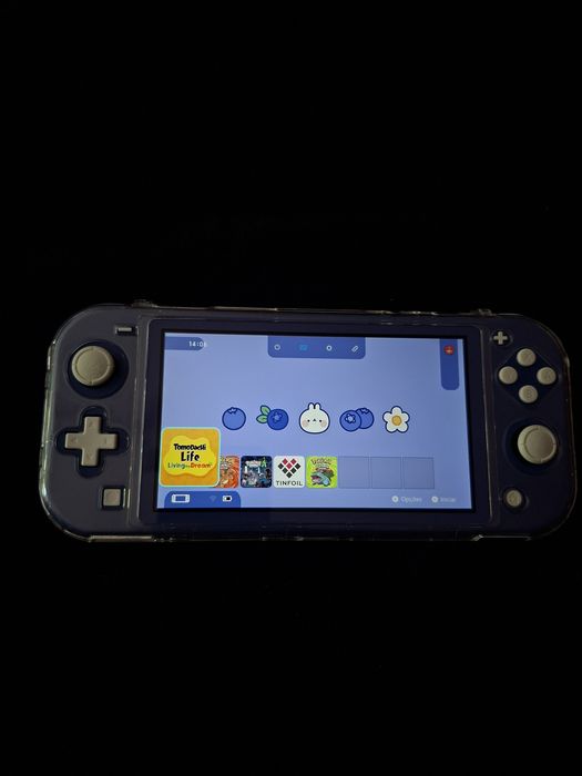 Nintendo switch lite