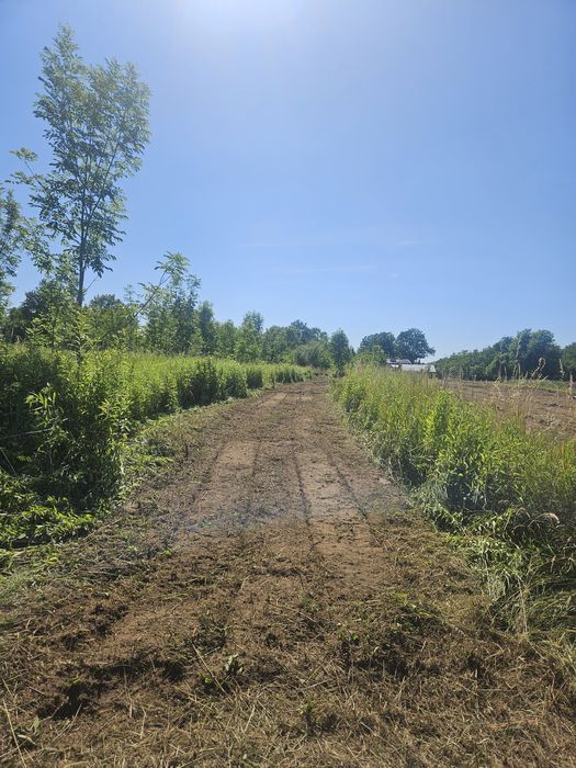 Mulczowanie wgłębne powierzchowne wycinka drzew zakrzaczeń
