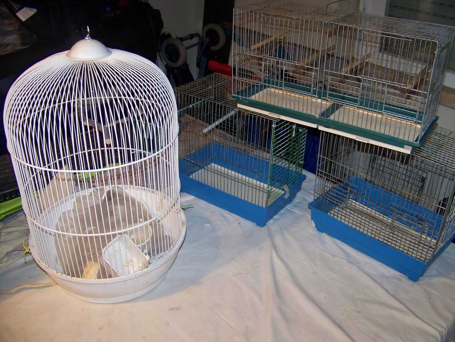 3 gaiolas para pássaros e comedouros