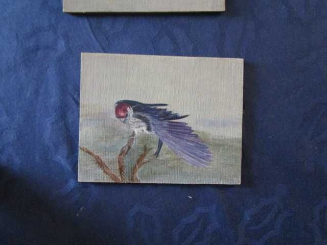 2 pequenos quadro a óleo aves passáros