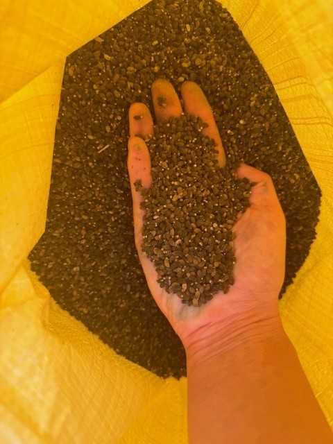 nasiona ogórecznika lekarskiego ogórecznik lekarski miododajne/na olej