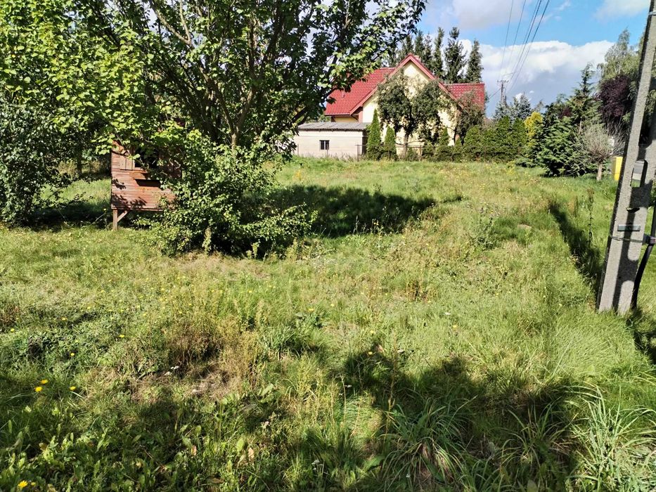 Zdjęcie 4
